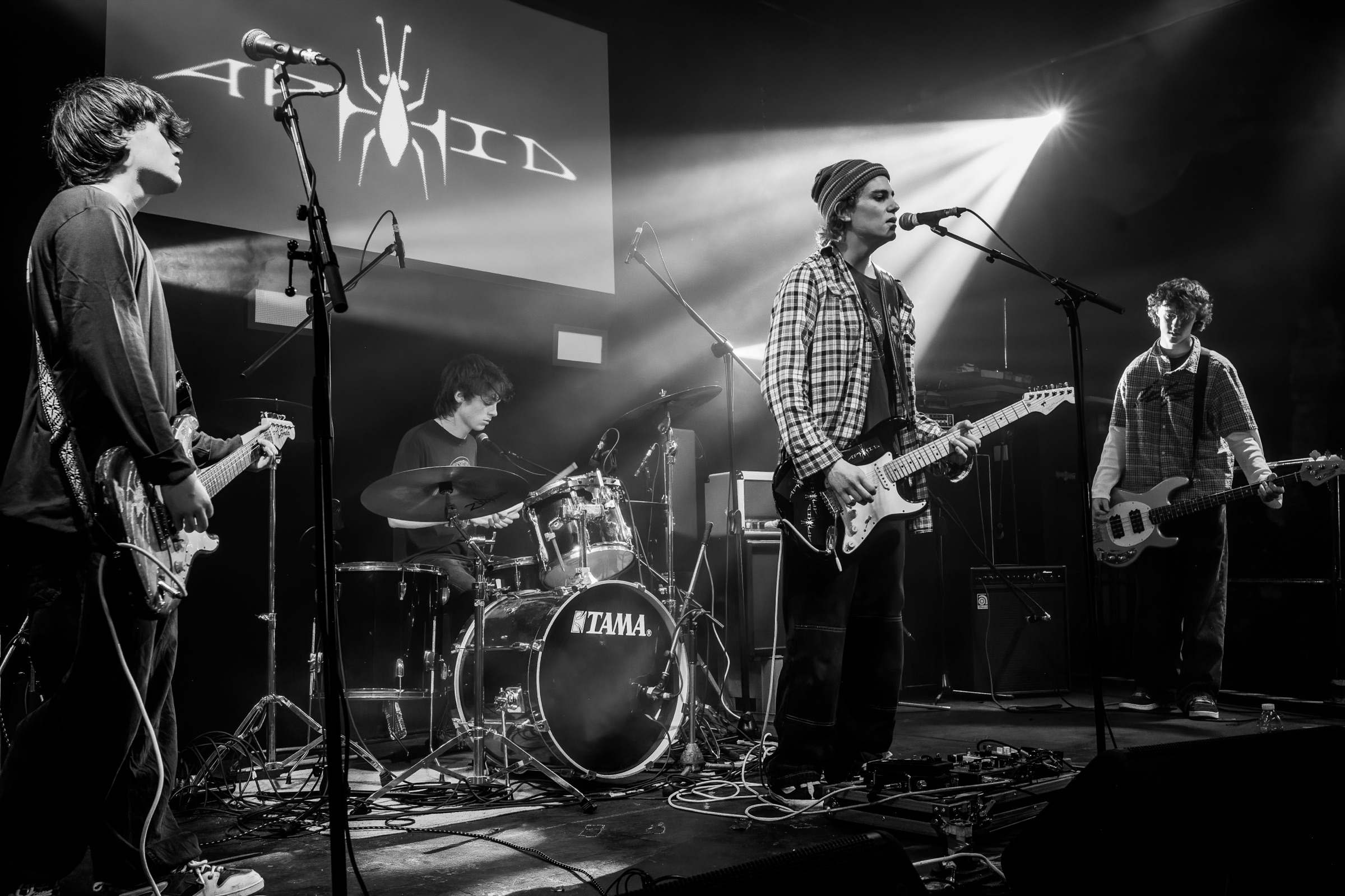 Aphid performing live in black and white